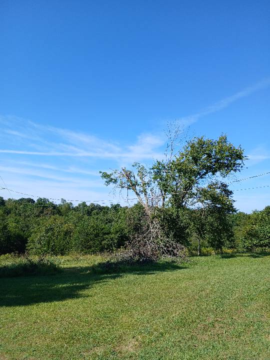 Sky photo by Kyfanatic in Falmouth,Kentucky