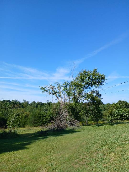 Sky photo by Kyfanatic in Falmouth,Kentucky