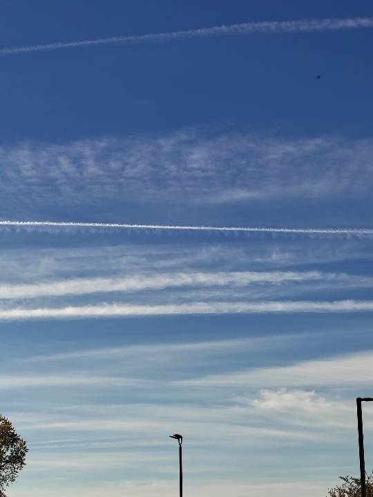 Sky photo by #ChemTracker44 in Wittenberg Wi