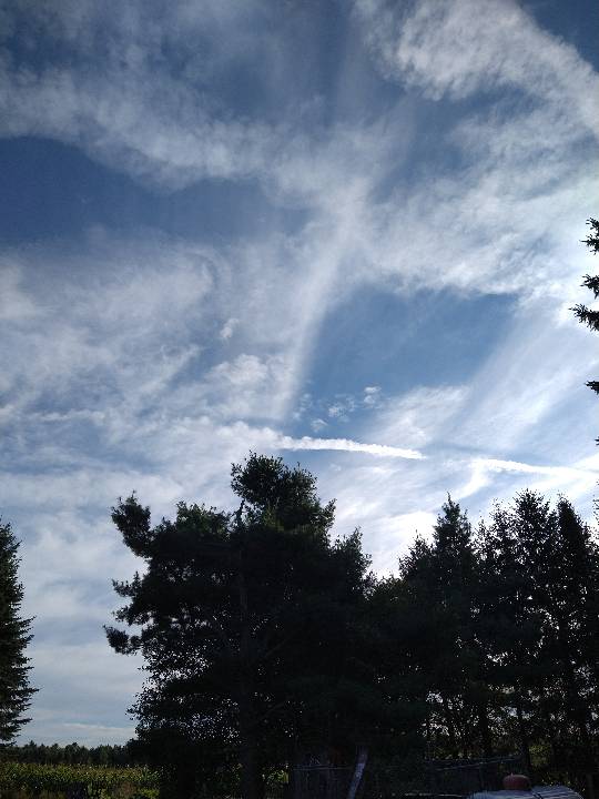 Sky photo by #ChemTracker44 in Hatley, wi