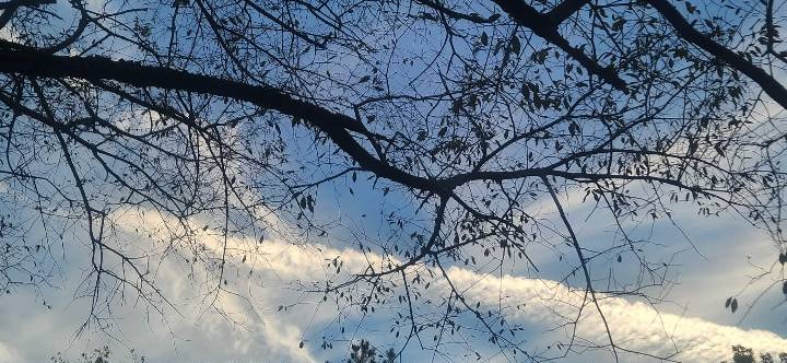 Sky photo by #ChemTracker44 in Bowler, wi