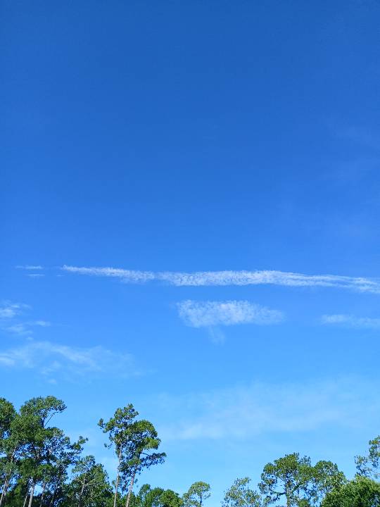 Sky photo by Ripley in Daytona Beach florida 