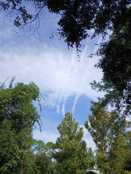 Sky photo by Ripley in Daytona Beach Florida 