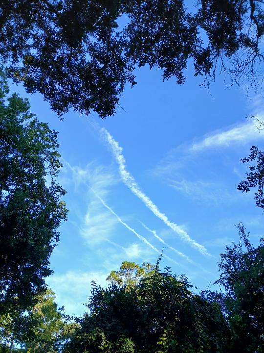 Sky photo by Ripley in Daytona Beach Florida 