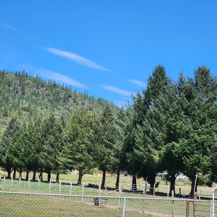 Sky photo by PatriotCowgirl2025 in Rogue River, Oregon 