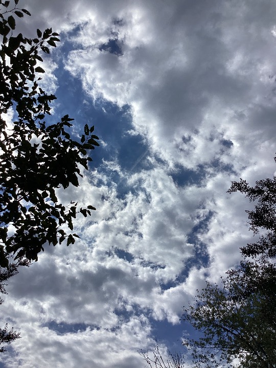 Sky photo by Grandmab in Part one of trail looking west Greensboro 257 pm 