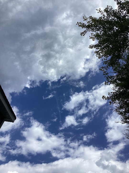 Sky photo by Grandmab in Part two looking above and east part of trail 259 pm 
