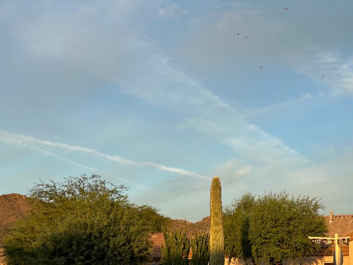 Sky photo by gailbfuller
