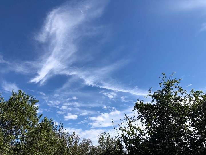 Sky photo by lottaaxion in South Austin, TX