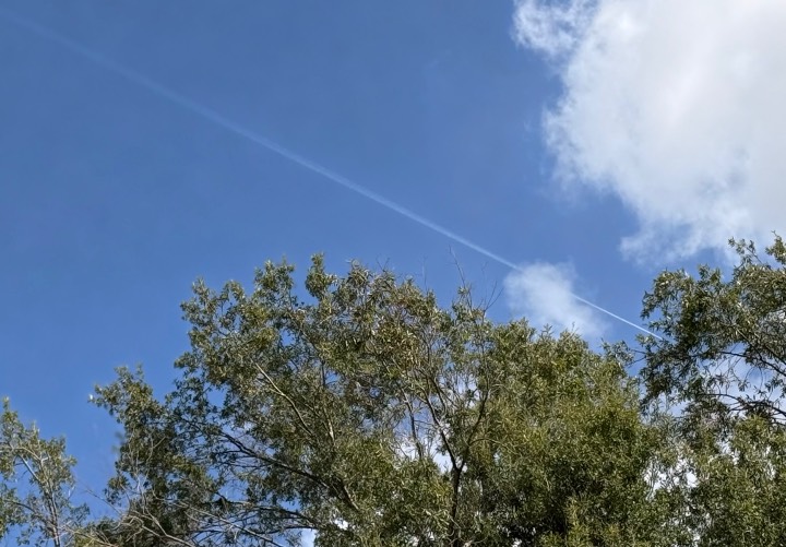 Sky photo by Tankiso in Houston, Texas  (10:48)