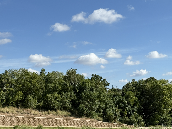 Sky photo by Tankiso in Houston, Texas  (10:53)