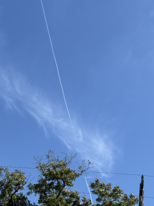 Sky photo by Tankiso in Houston, Texas   (15:04)
