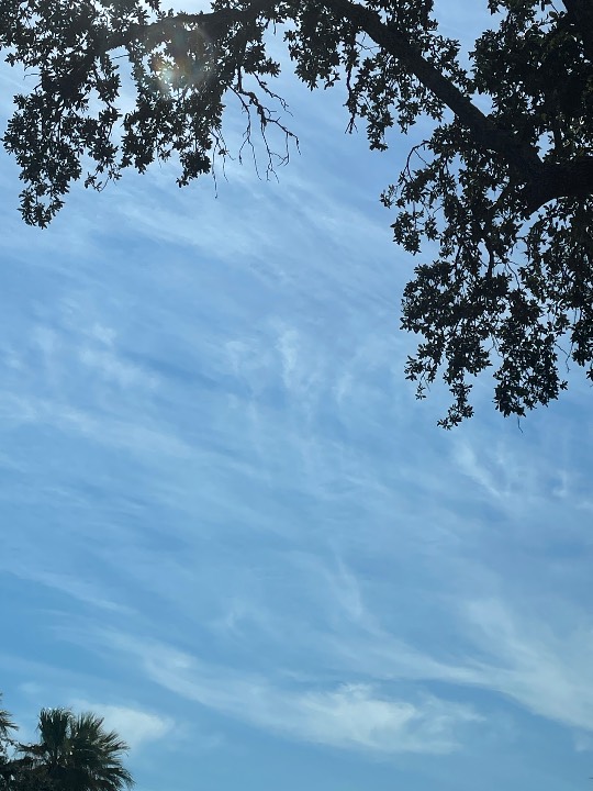 Sky photo by karinritz in Galveston, TX