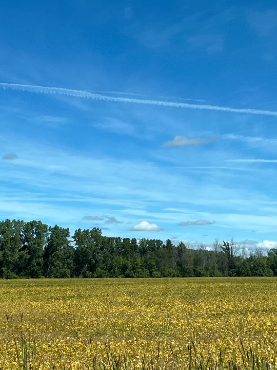 Sky photo by Sarah G in Sherwood WI