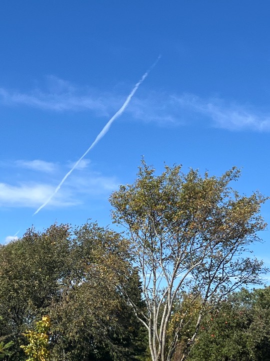 Sky photo by Sarah G in Chilton WI