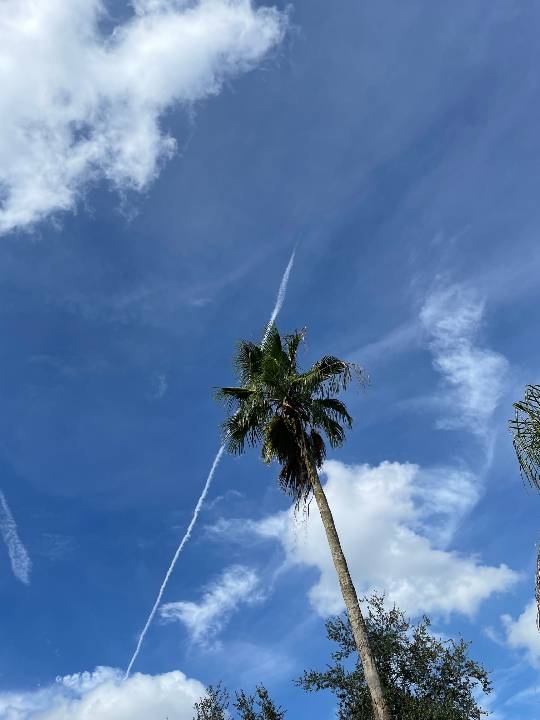 Sky photo by LMinFL in Deltona, Florida